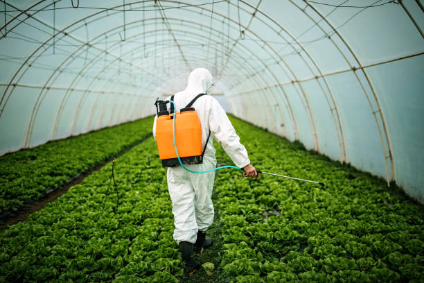 Best Pest Inspection Near Me  in Laureldale, PA
