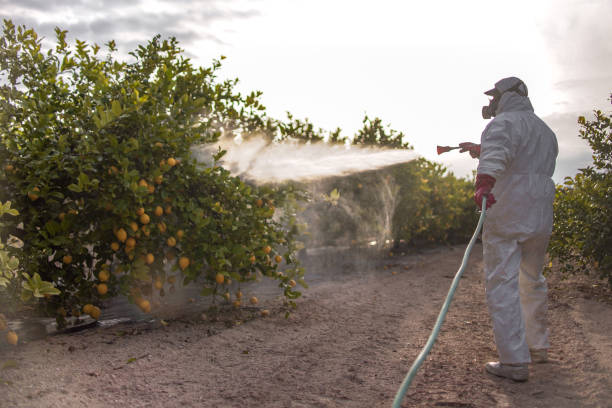 Best Best Pest Control Companies  in Laureldale, PA