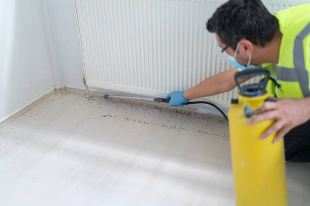 Best Termite Control Services  in Laureldale, PA