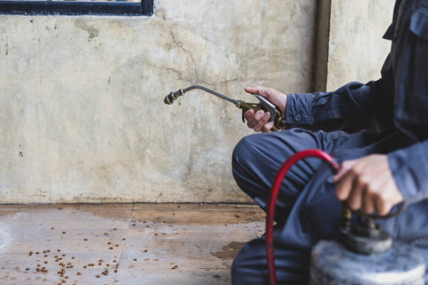 Best Exterminator Services  in Laureldale, PA